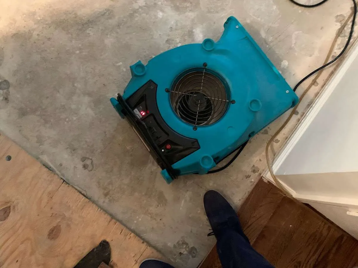 Air mover drying subfloor during Leak Detection & Repair in Mead