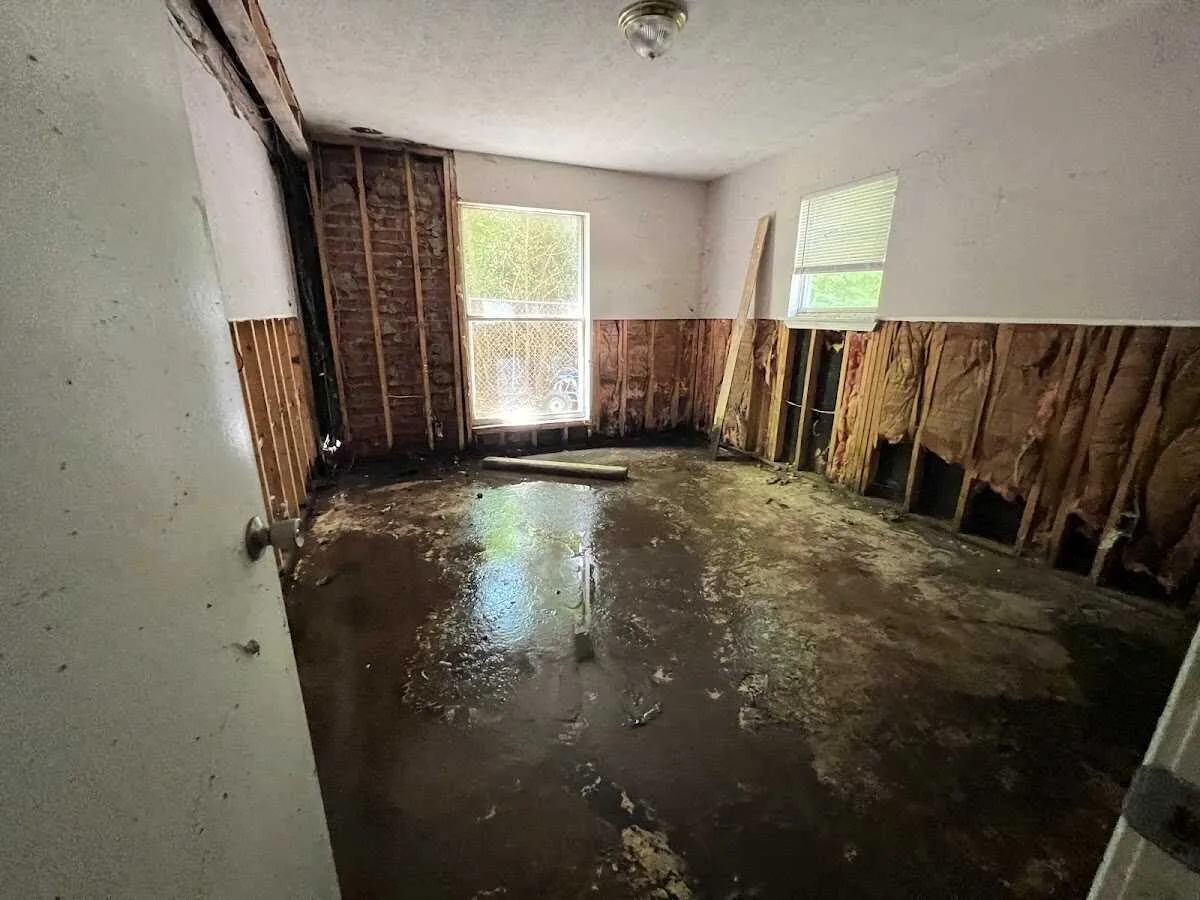 Water Damage Restoration services in Mead, CO